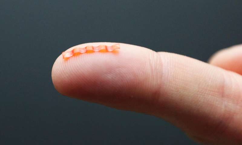 Tiny light-powered Caterpillar Robot Which Mimics Natural Crawl (2)