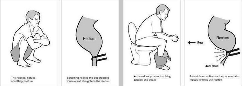 You've Been Pooping Wrong Your Whole Life (1)