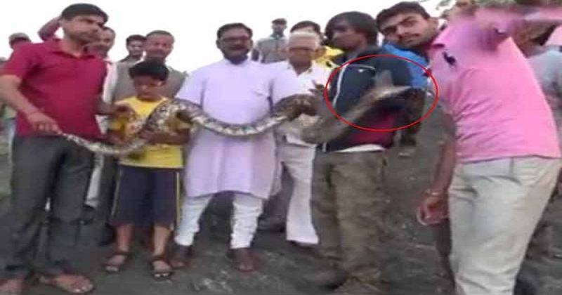 man-escapes-narrowly-while-taking-selfie-with-python