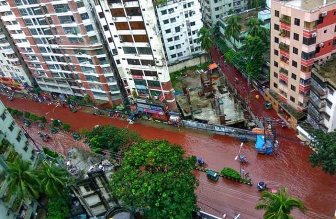 dhaka-streets-turn-into-rivers-of-blood-on-eid