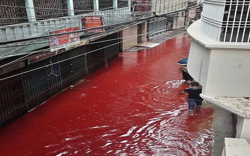 dhaka-streets-turn-into-rivers-of-blood-on-eid4