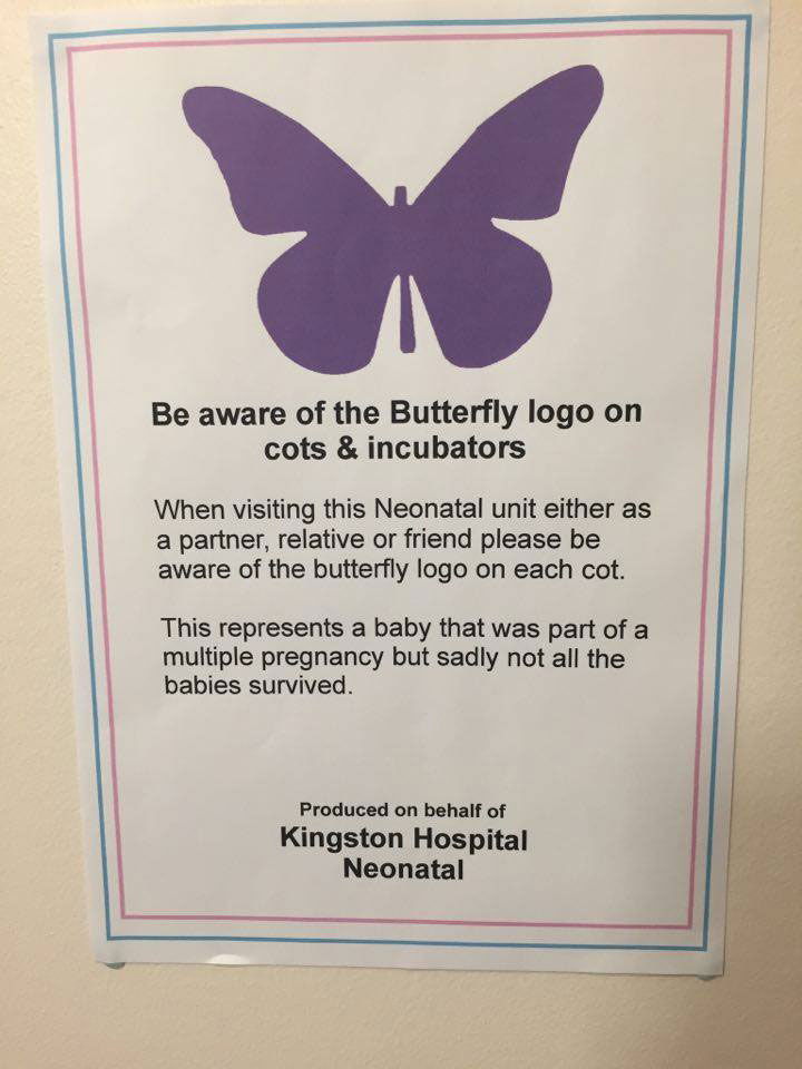 butterfly-symbol