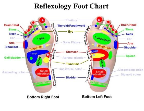 refrology-fot-chart