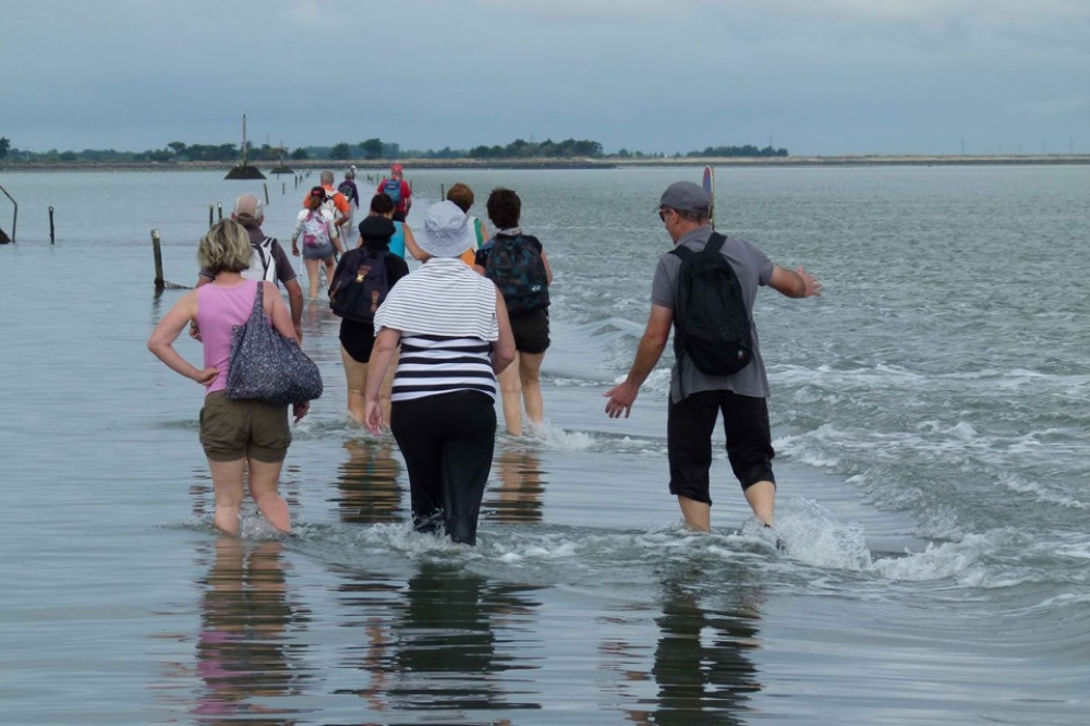 people-walking-on-passage-du-gois