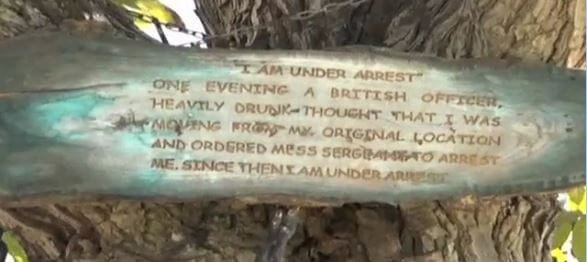 UnderArrest-tree-at-pakistan