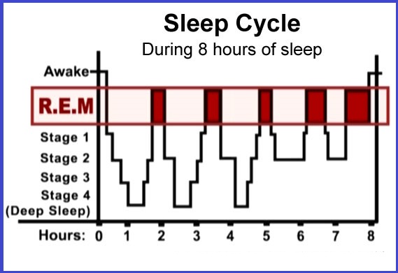 sleep_cycle_rem_8_hour_graph