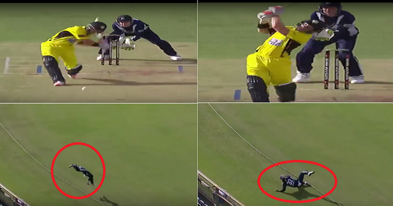 Watch: Glenn Maxwell’s Brilliant Catch At Boundary Line Is Going Viral