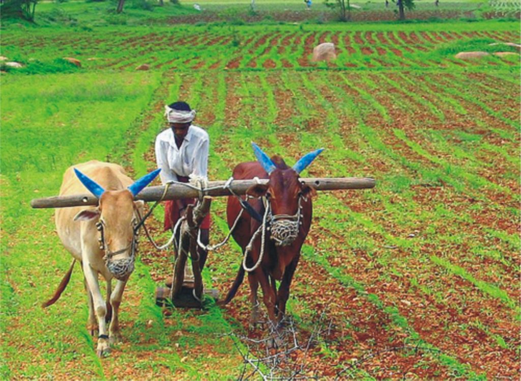 farmers