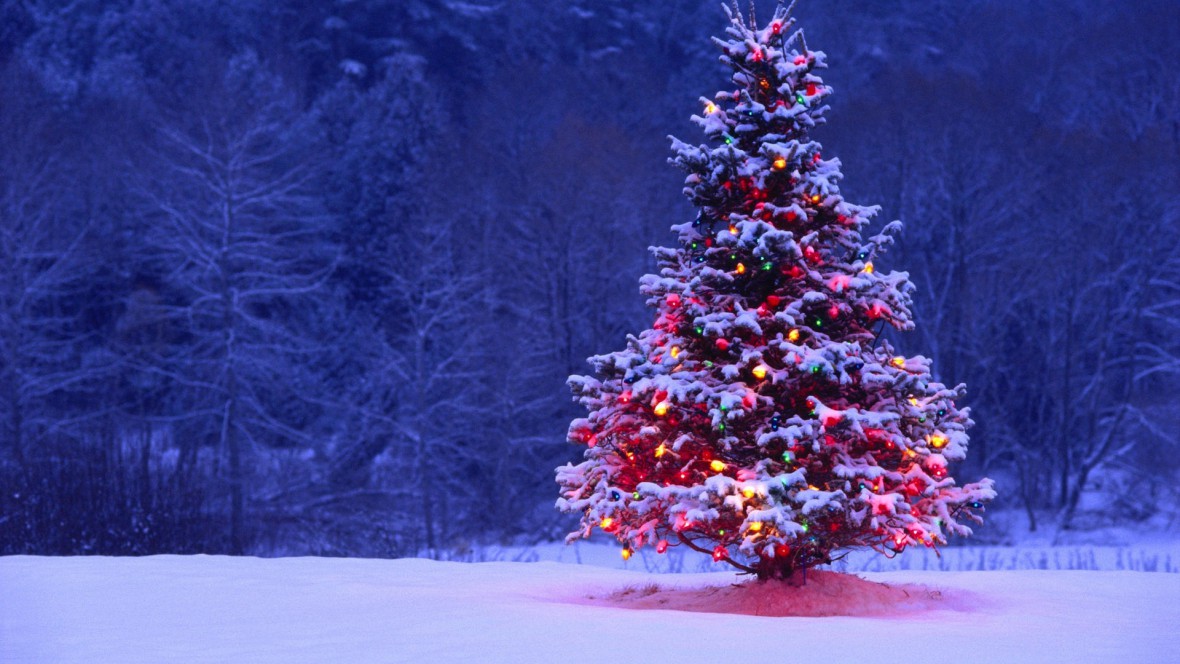 merry-christmas-tree-decorating-tips