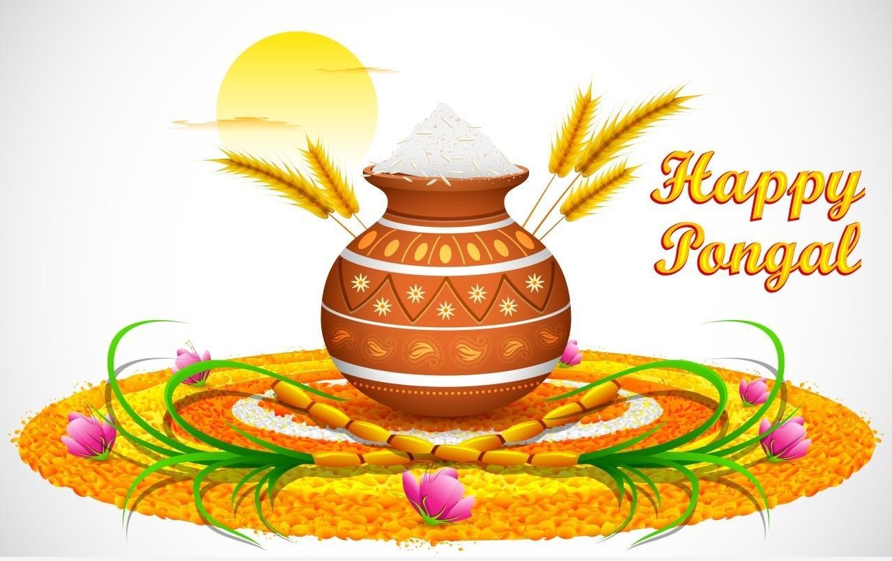 Happy Pongal 2017 Images Pictures, Sankranthi HD Wallpapers Download For  Desktop WhatsApp DP Facebook Wall