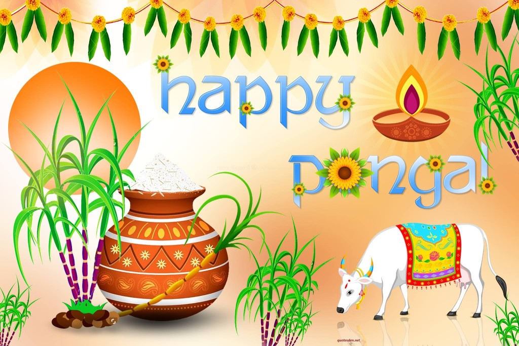 Happy Pongal 2017 Images Pictures, Sankranthi HD ...