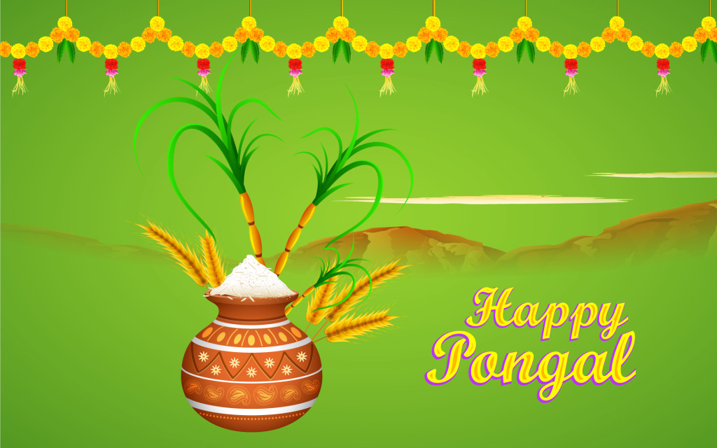 Happy Pongal hd 3d wallpapers (1)