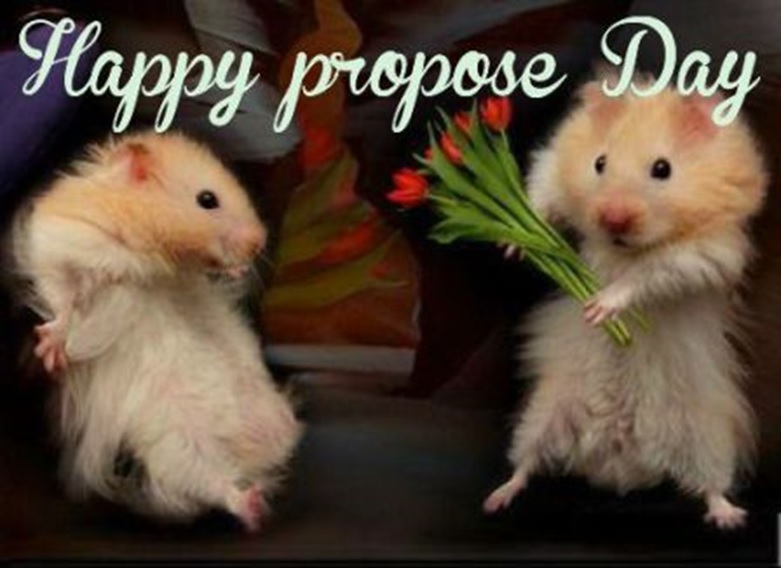 propose day images download