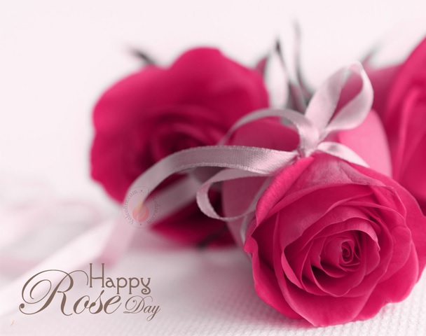 rose day 2017 images