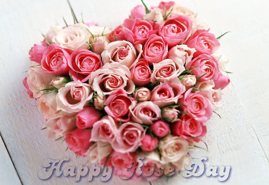 rose day 3d images