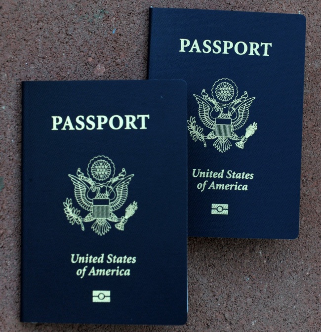 Do You Know The Reason Why All Country Passports Are Of Only Four Basic Colors Heres The Reason 4893