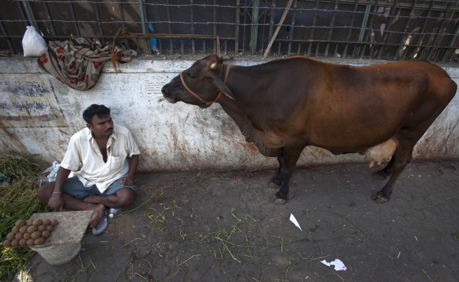 gau rakshaks in india