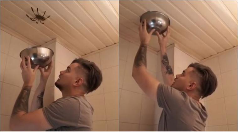 man tries to catch spider in a bowl goes wrong