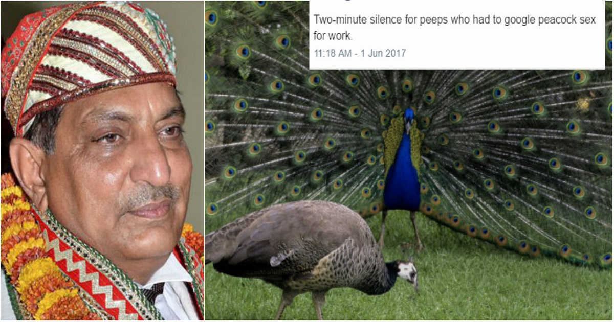 Twitter Goes Berserk Over Rajasthan Hc Judge’s Theory On Peacock’s Sex