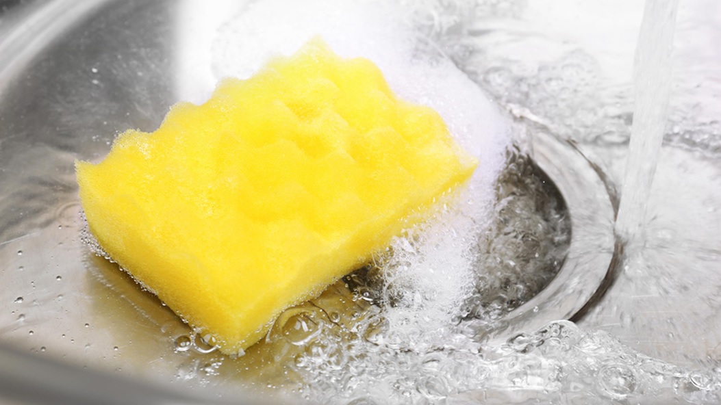 Clean your sponge