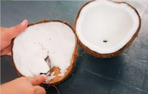 2 Easy Ways To Remove Coconut Flesh From Its Shell (1)