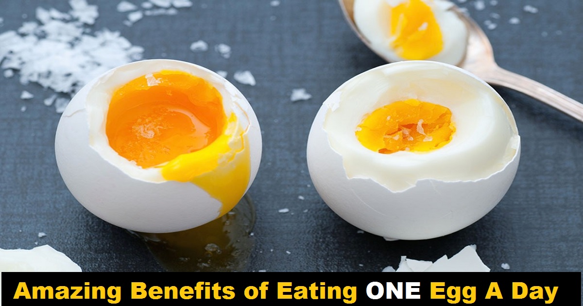 Amazing Benefits Of Eating Just ONE Egg A Day That You Won’t Believe