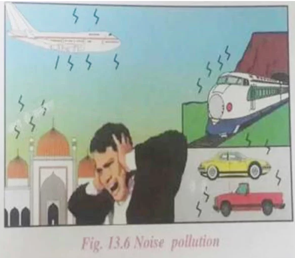 Mosque in Noise Pollution lesson