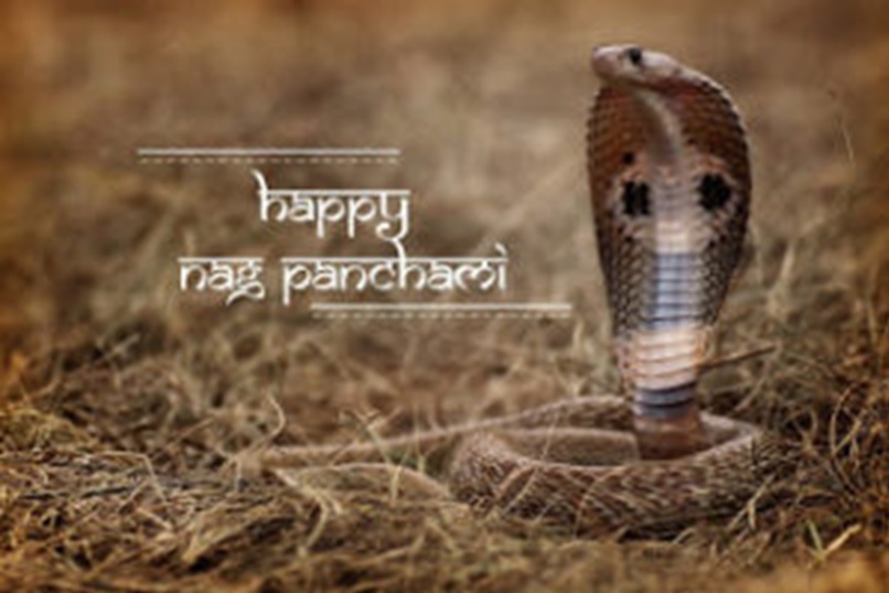 happy nagpanchami sms