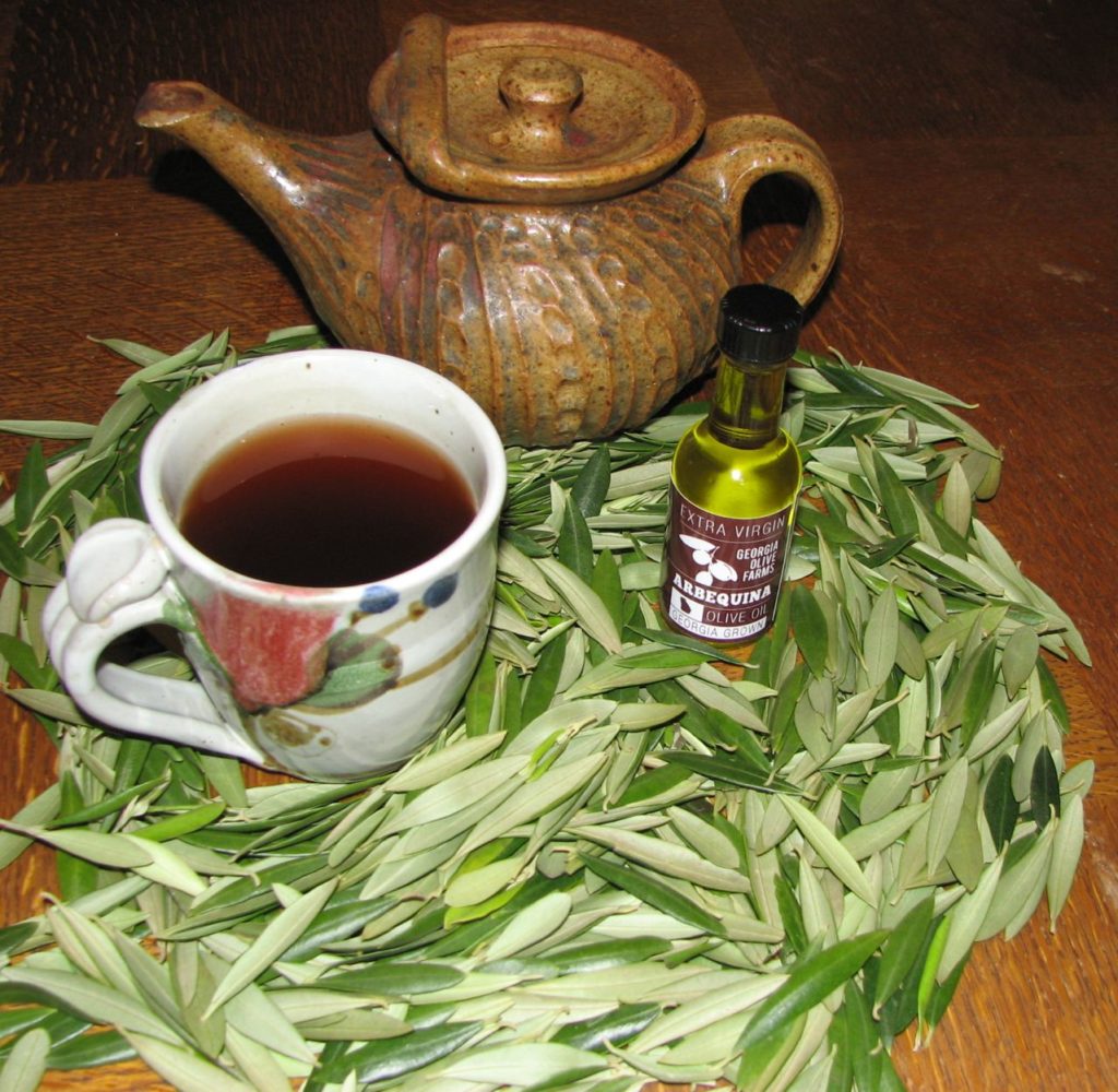 olive tea in rajasthan ingredients
