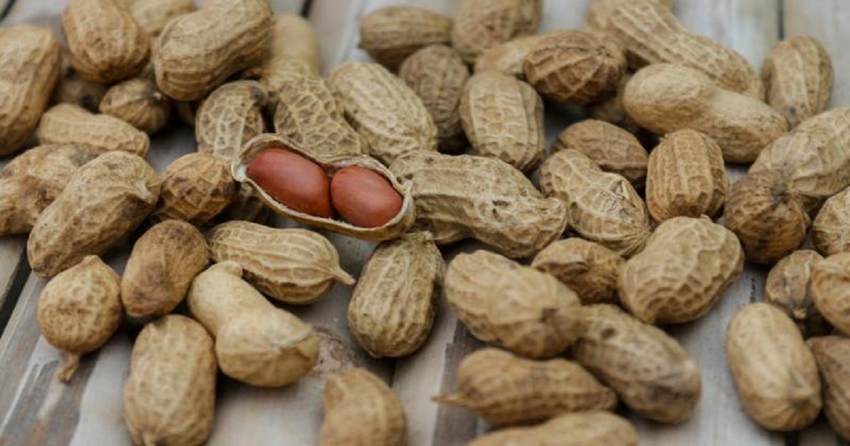 Eating Peanuts While Breastfeeding Reduces Allergy Risks In Future