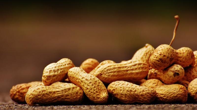 Eating Peanuts while breastfedding reduces allergy