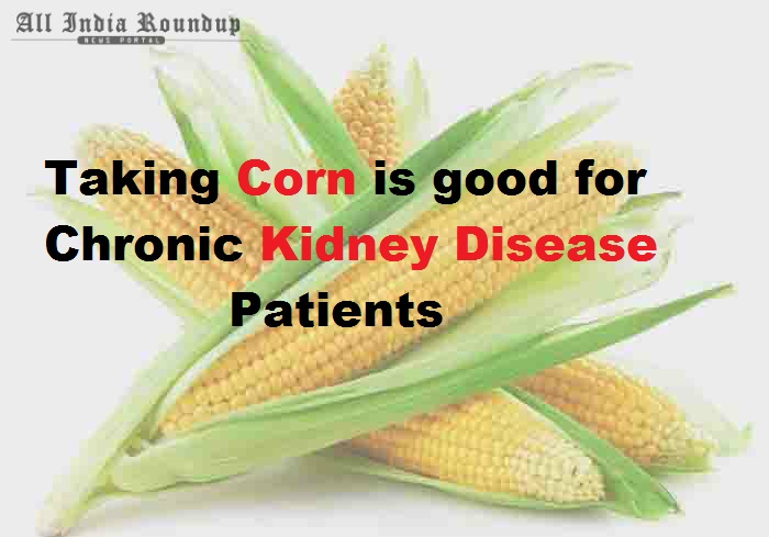 maize-amazing-disease-fighting-foods-for-a-healthy-life
