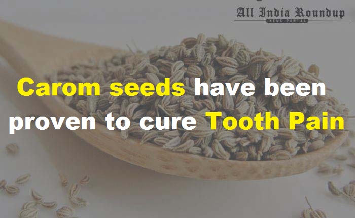 carrom-seeds-vaamu-amazing-disease-fighting-foods-for-a-healthy-life