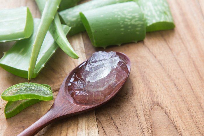 aloe vera to treat bump behind ears