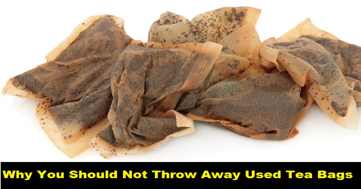 Why You Should Not Throw Away Used Tea Bags Check Out 3524