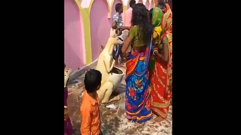 woman worshipping dustbin in temple