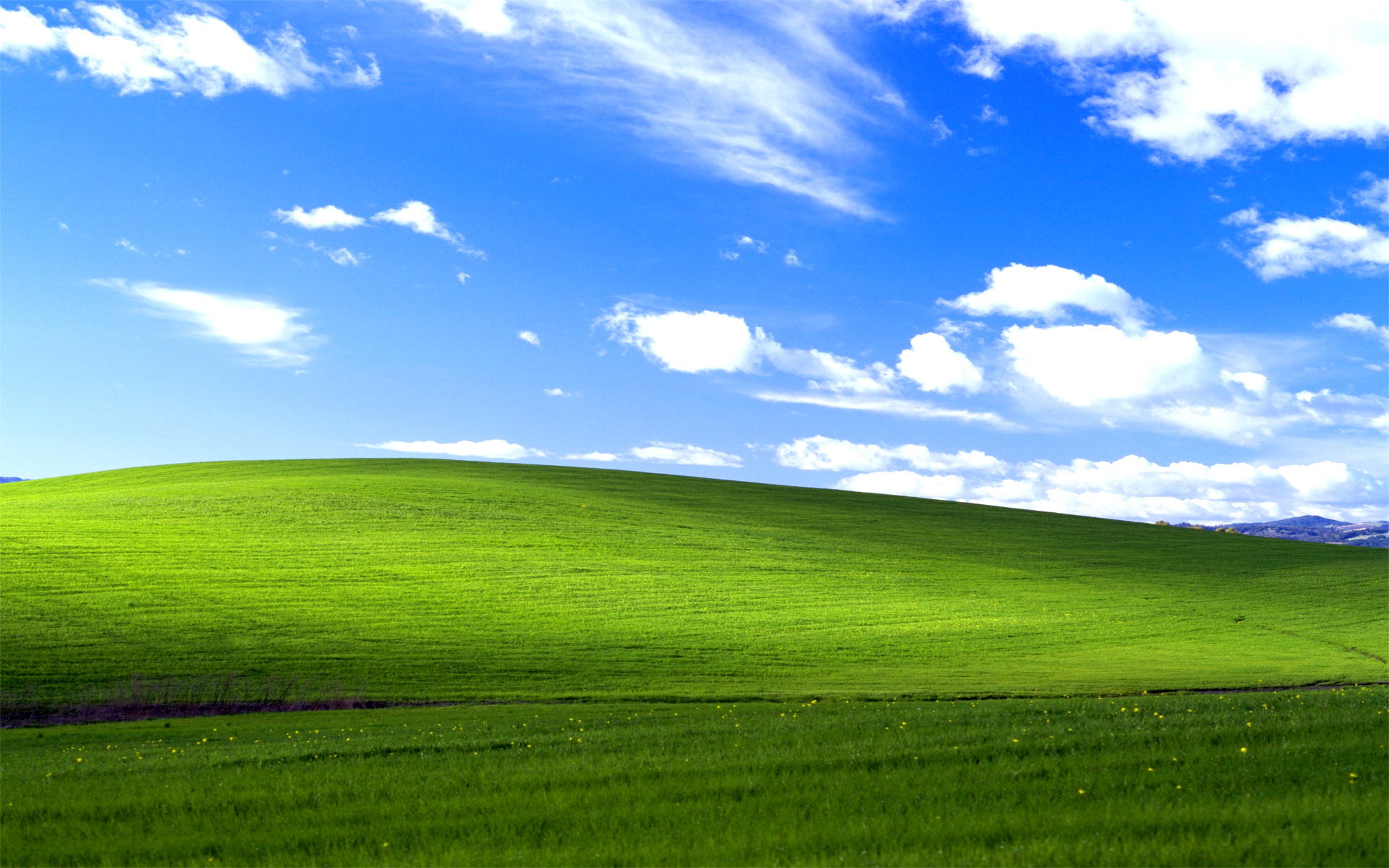 windows_xp_bliss-wallpaper