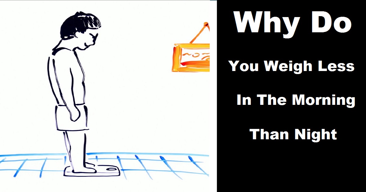 Why Do You Weigh Less In The Morning Than At Night Here’s The Reason