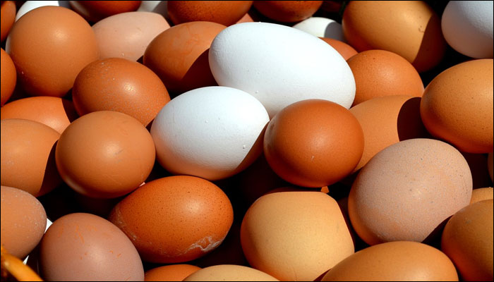 are eggs veg or non veg