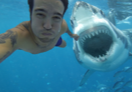 selfie death by shark