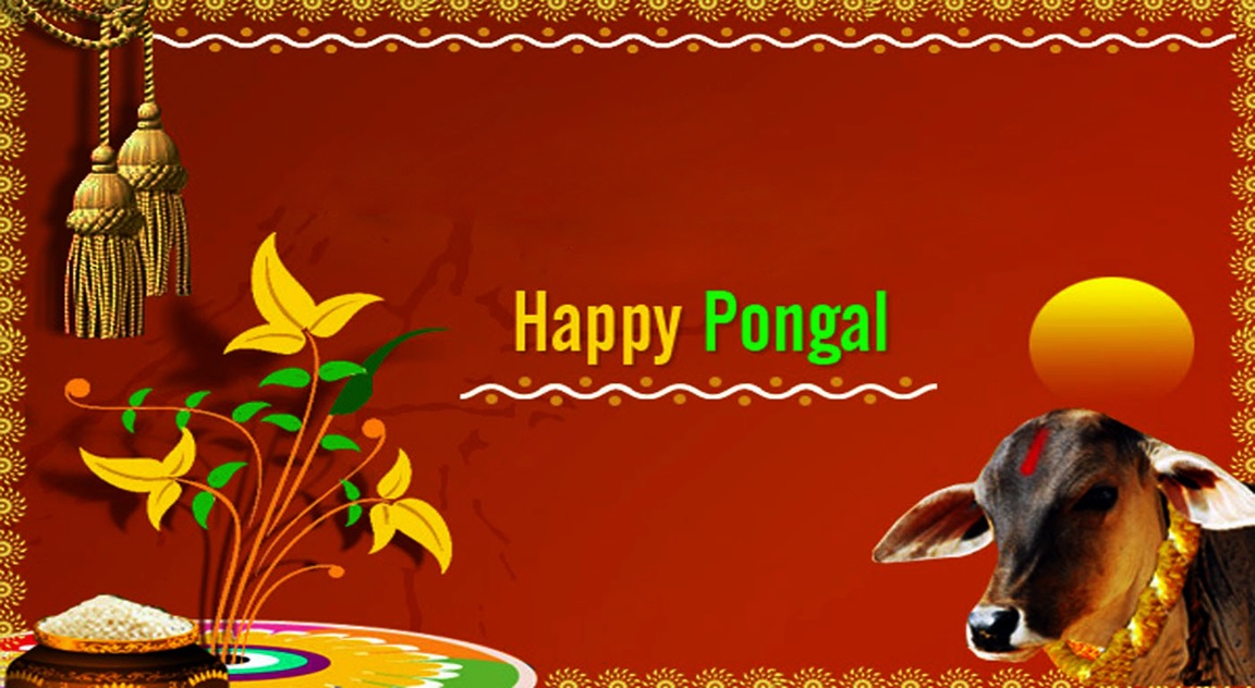 happy pongal 2018 photos