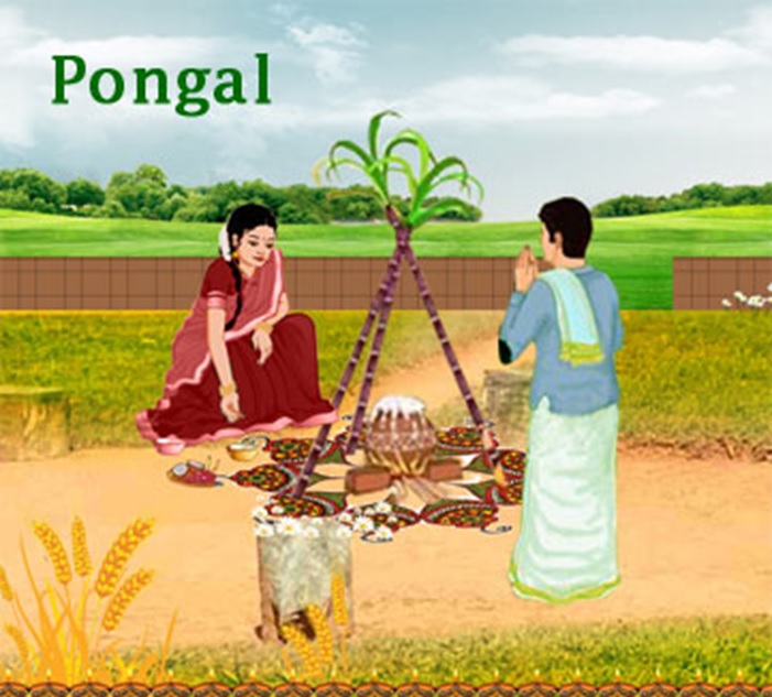 happy pongal 2018 wallpapers hd