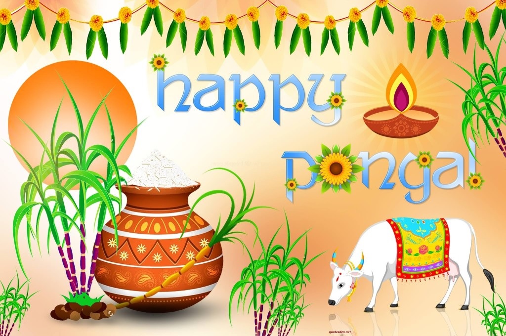 happy pongal hd wallpapers 2018