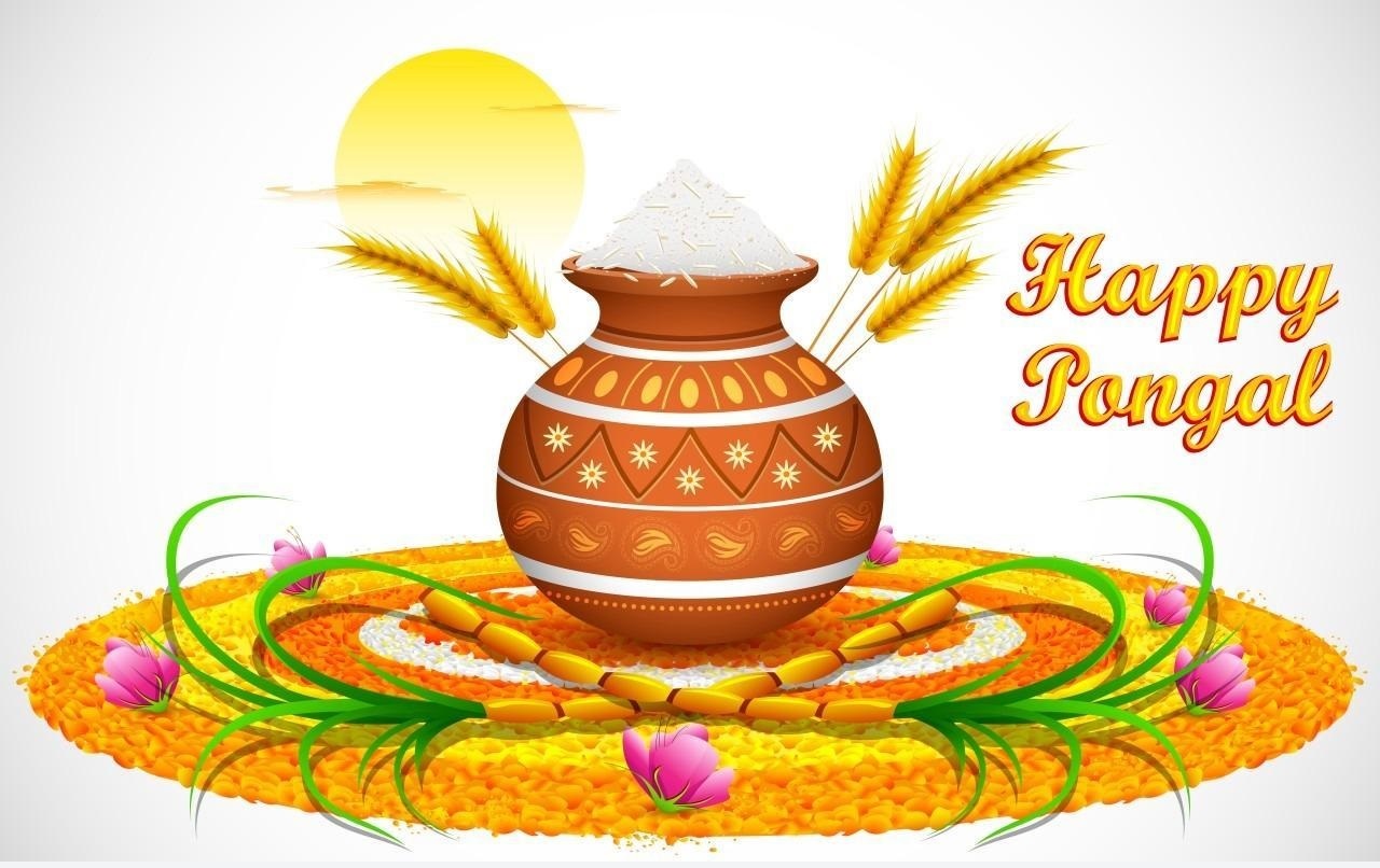 happy pongal images hd