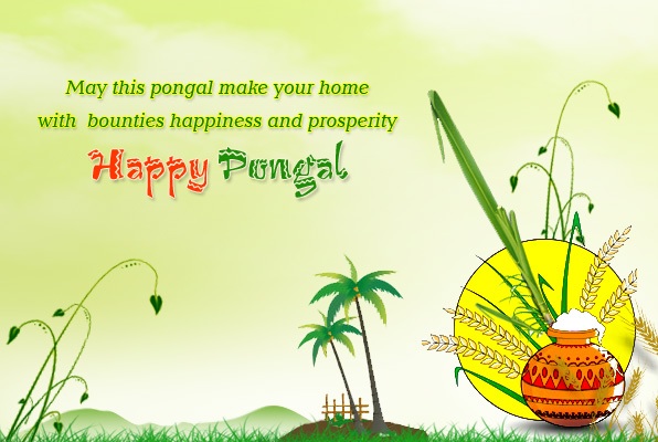 happy pongal photos