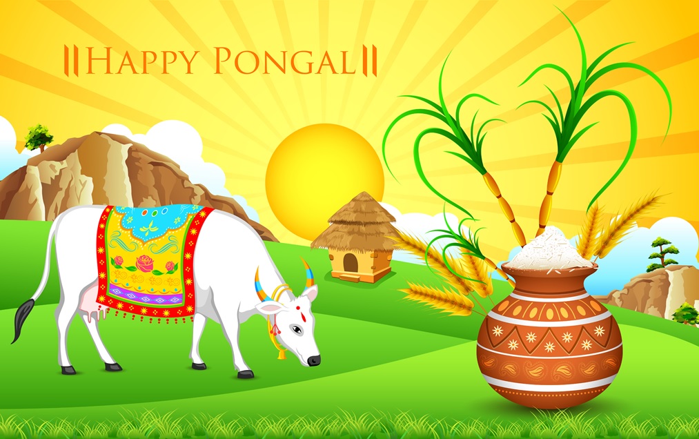 pongal images 2018