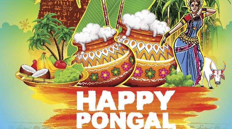 happy pongal 2018 hd images