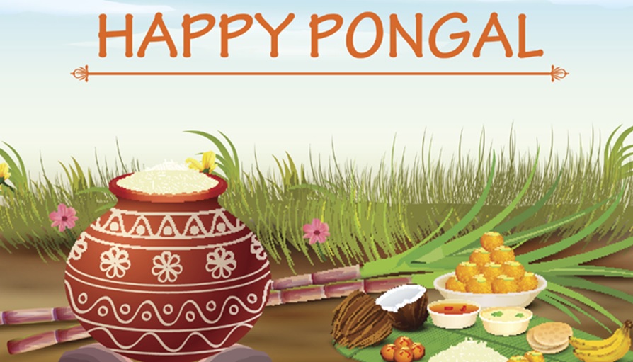 happy pongal 2018 images hd