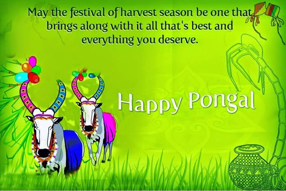 pongal 2018 messages