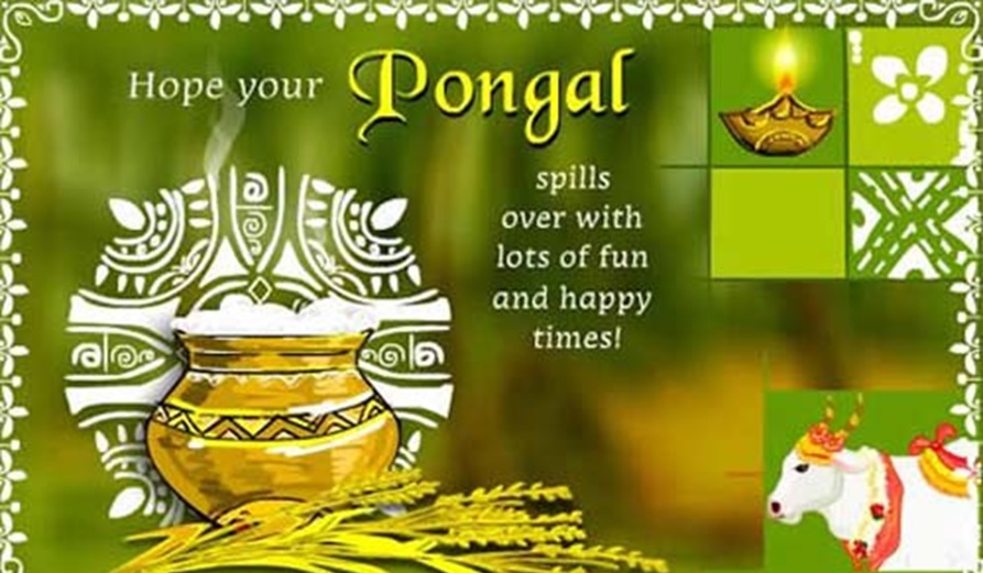 pongal 2018 wishes